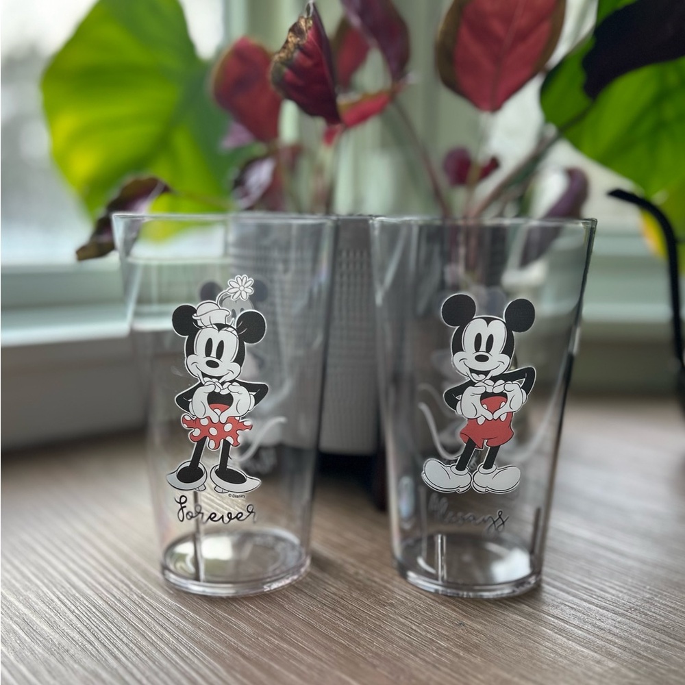 Disney Mickey and Minnie Mouse Plasti Tumbler Set - Love Always and Forever